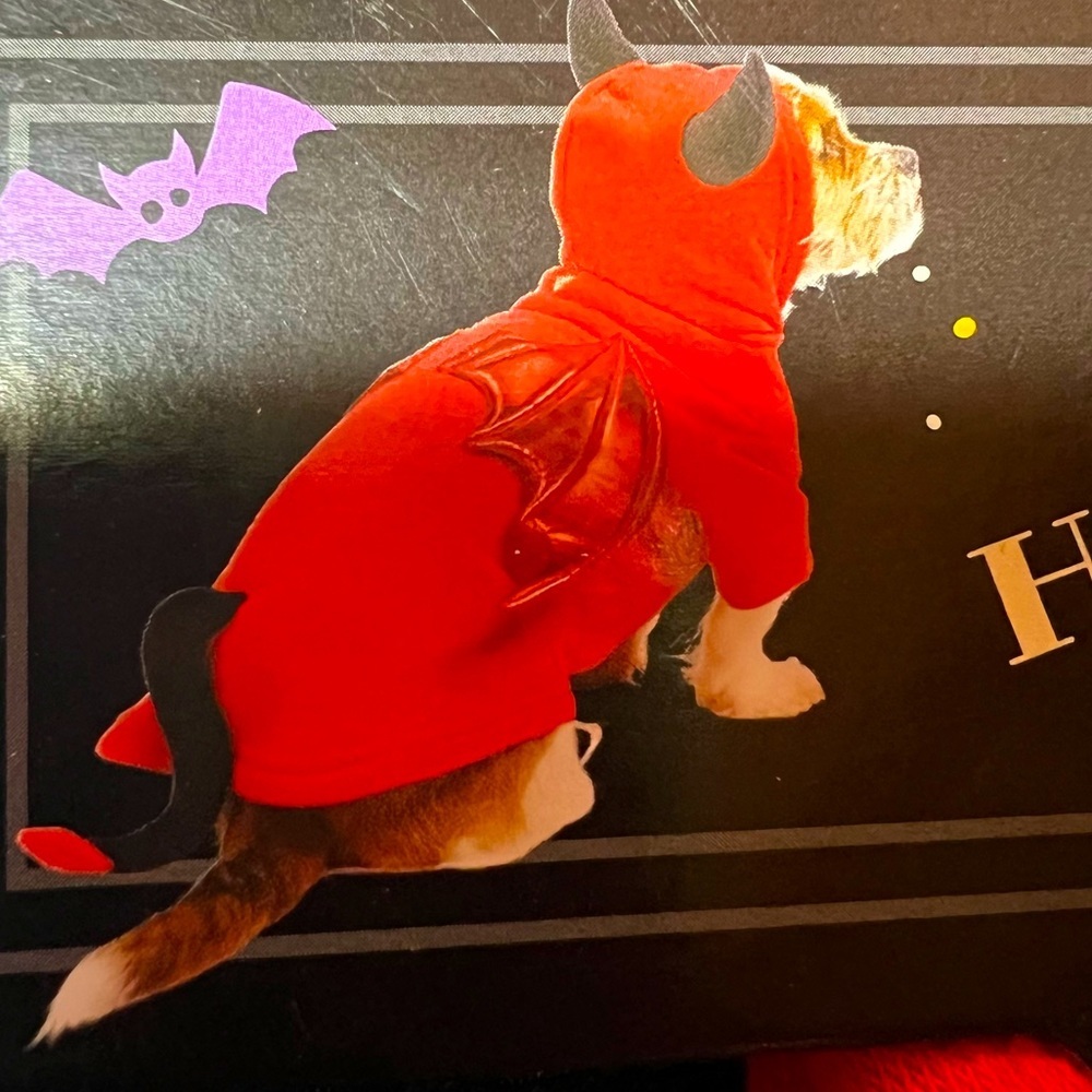 XS winged Devil Dog Costume